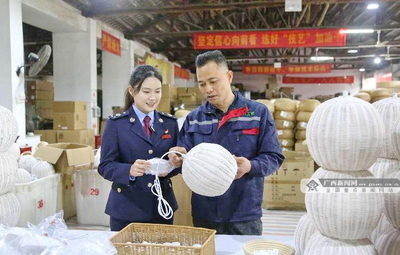 博白税务 以“税惠+服务”双引擎，赋能企业扬帆向海图强