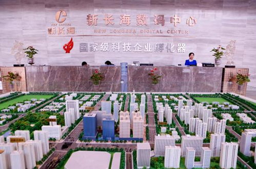 楼宇经济赋能中小微 新长海服务外包基地的税务解忧之道